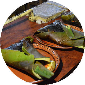 Raíces Magueyeras - Agave Turismo